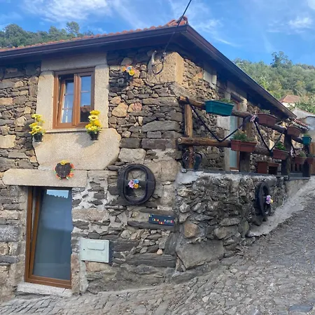 Casa Das Flores Lamego Exterior photo