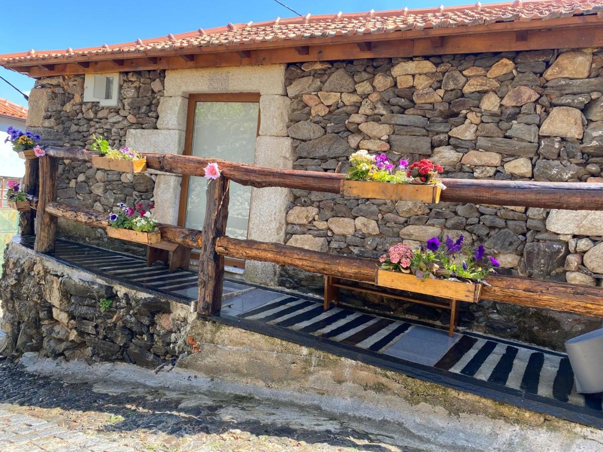Casa Flores Lamego